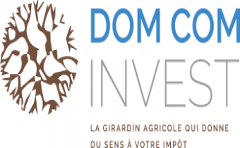 Dom Com Invest