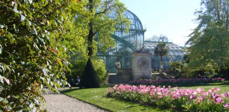 Jardin des serres d'Auteuil, dans le bois de Boulogne à Paris.