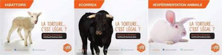 Campagne publicitaire de la Société protectrice des animaux (SPA), avril 2016.